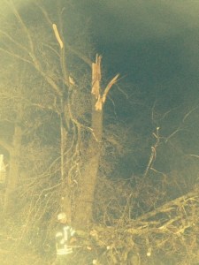 Einsatzbild Technische Hilfeleistung 03.01.2014 19:18