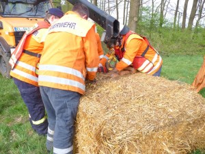Einsatzbild Technische Hilfeleistung 12.04.2014 16:50