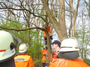 Einsatzbild Technische Hilfeleistung 12.04.2014 16:50