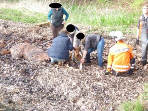 Einsatzbild Technische Hilfeleistung 12.04.2014 16:50