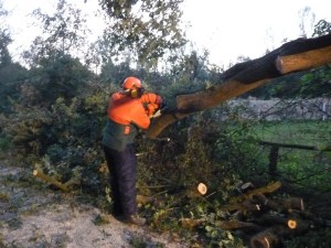 Einsatzbild Technische Hilfeleistung 22.09.2014 19:04