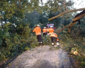 Einsatzbild Technische Hilfeleistung 22.09.2014 19:04