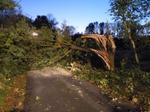 Einsatzbild Technische Hilfeleistung 22.09.2014 19:04