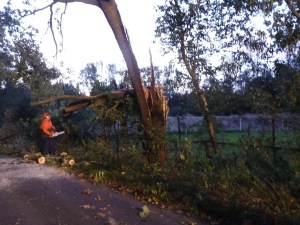 Einsatzbild Technische Hilfeleistung 22.09.2014 19:04